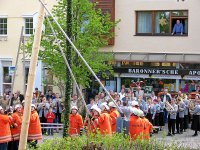 Maibaum 2008 005_qg